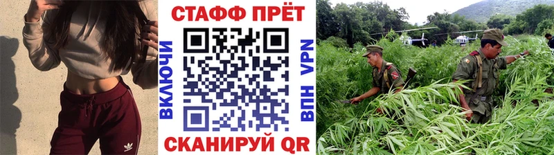 Купить МАРИХУАНА  АМФ  ГАШИШ  СК  Меф  Кокаин  Пятигорск