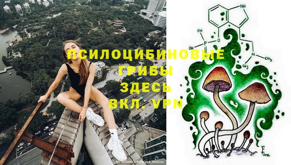 кокс Инсар