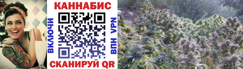 Купить закладки  Пятигорск  Марихуана гибрид 